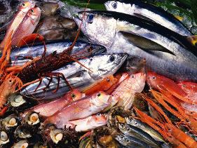 Seafood myths are a great concern for the seafood market in Kenya